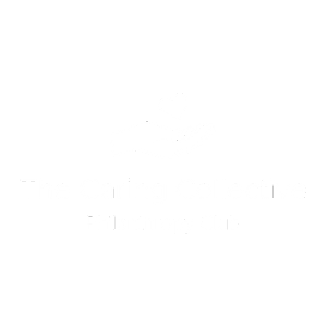 Sponsors Website Logos